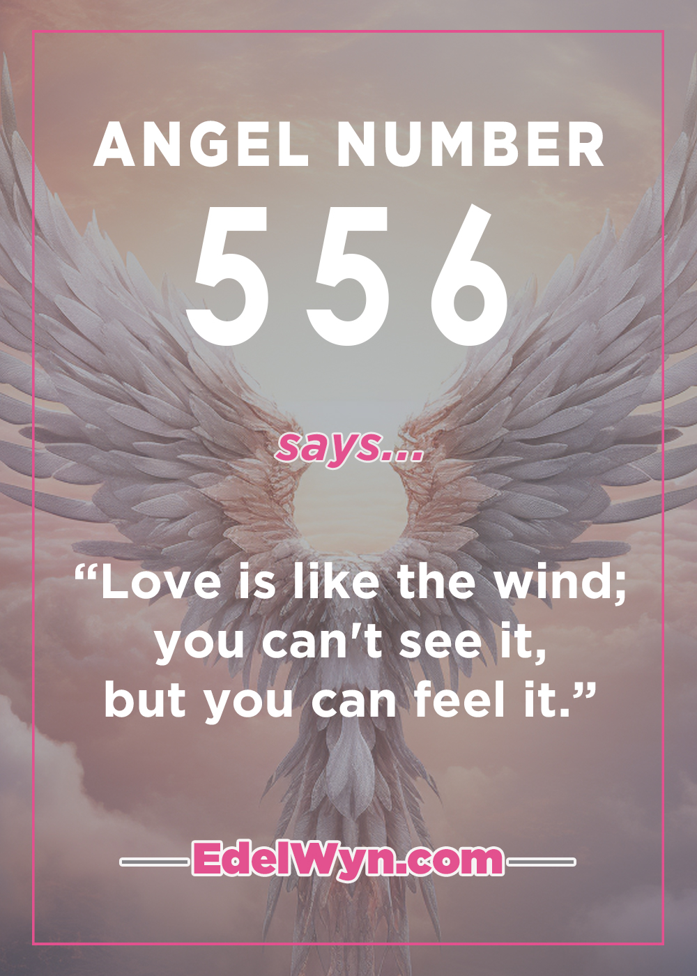 Seeing Angel No 556 a Lot? Here Is What You Need to Know About This Number.