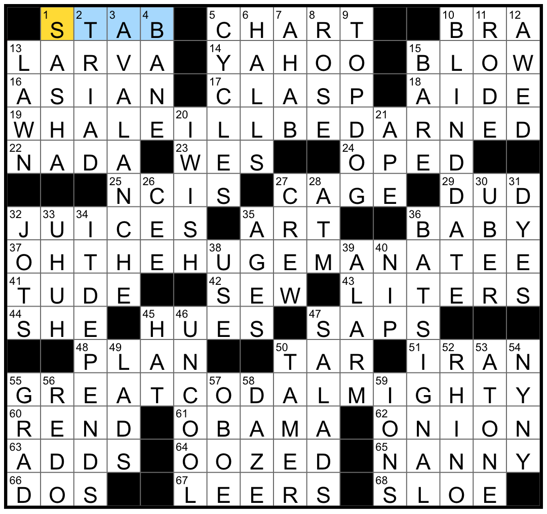 What is a Primitive Camera Feature in NYT Crossword Clues?