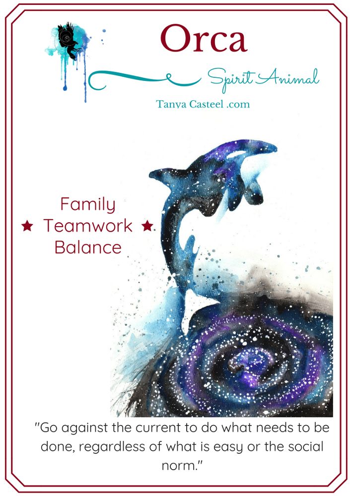 Orca Totem Animal: Exploring Its Spiritual Significance