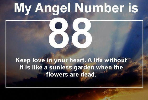 1988 Angel Number: Love, Career, and Twin Flame Meaning