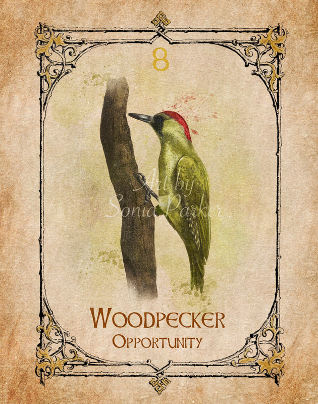 Totem Woodpecker: Find Your Spirit Animal Guide Now