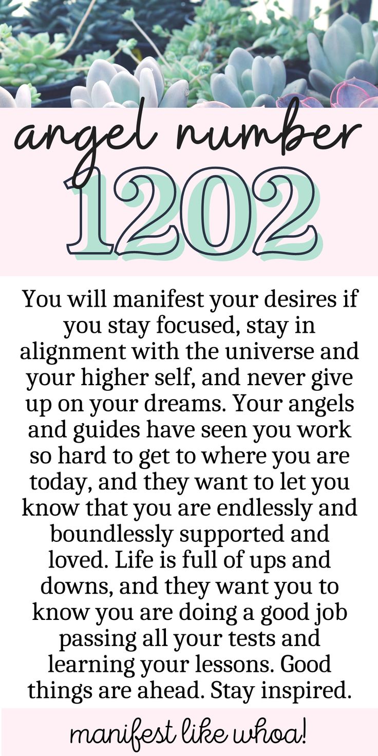 Manifest Money Now: Understanding the 1202 Angel Number