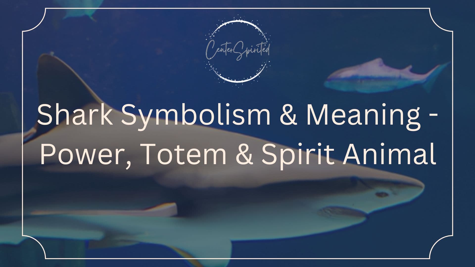 Shark Totem Meaning: Uncover the Power and Symbolism of This Ancient Emblem!