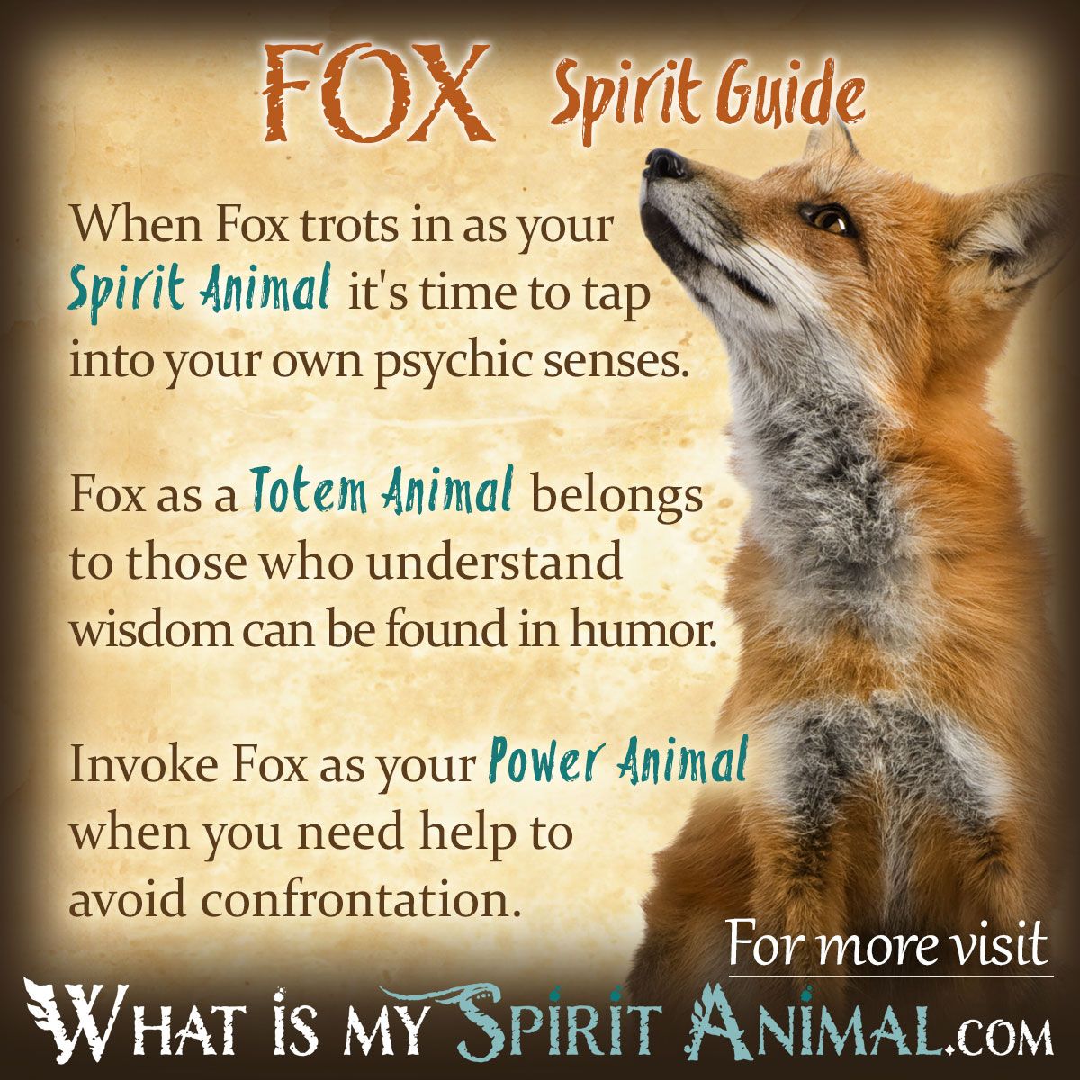 Is the Red Fox Your Animal Totem? Learn How to Interpret Its Message and Transform Your Life Now!