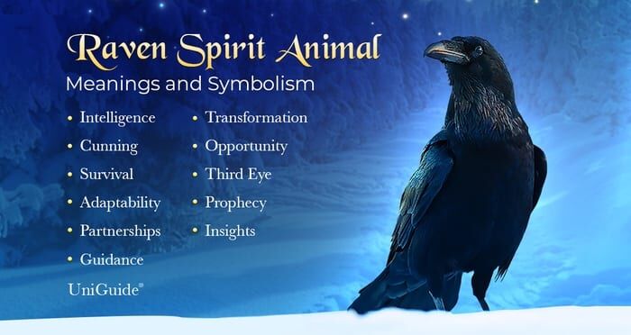 Seeing a Raven on a Totem Pole? Discover the meaning of this popular symbol.