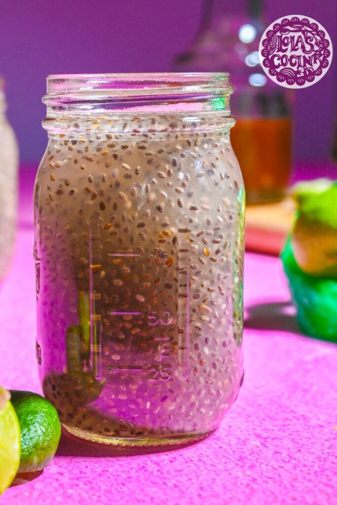 Try This Chia Fresca Recipe Born to Run: Fuel Your Runs Naturally Now