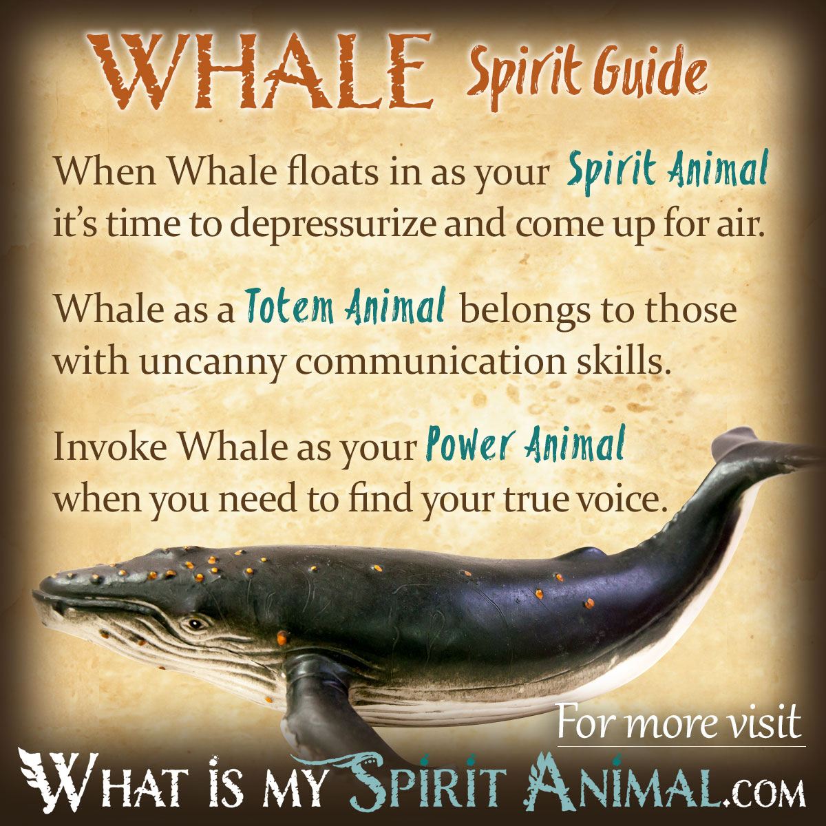 Orca whale totem meaning: Discover the symbolism and power of this strong animal guide.