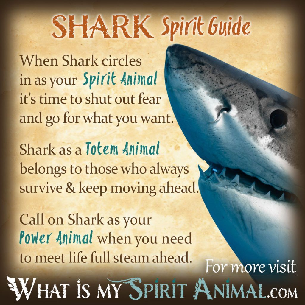 Shark Totem Meaning: Uncover the Power and Symbolism of This Ancient Emblem!