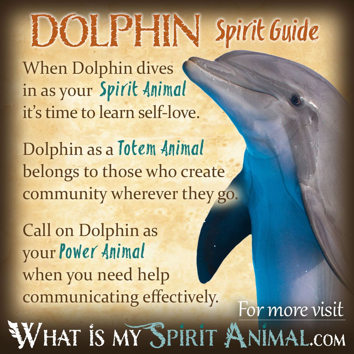 Understanding the Dolphin Totem: A Deep Dive into Its Meaning and Significance