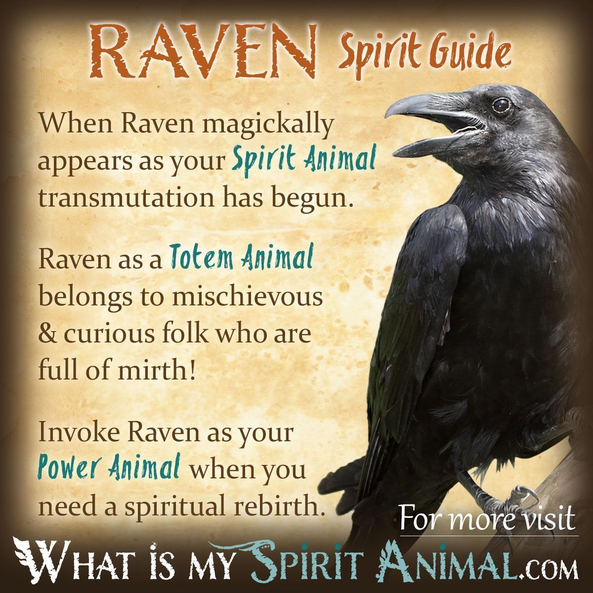 What Does It Mean When a Raven Is on a Totem Pole? Learn Here Now!