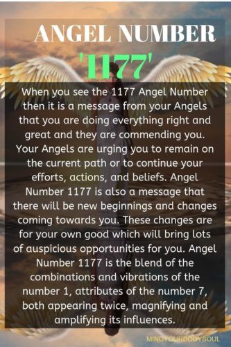 Seeing Angel Numbers 1177? Heres What It Means for Your Life!