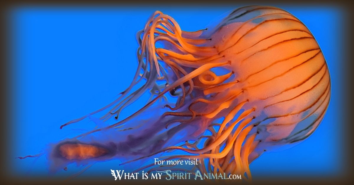 Jellyfish totem: What does it mean? Explore the meaning and get inspired by this spiritual guide!