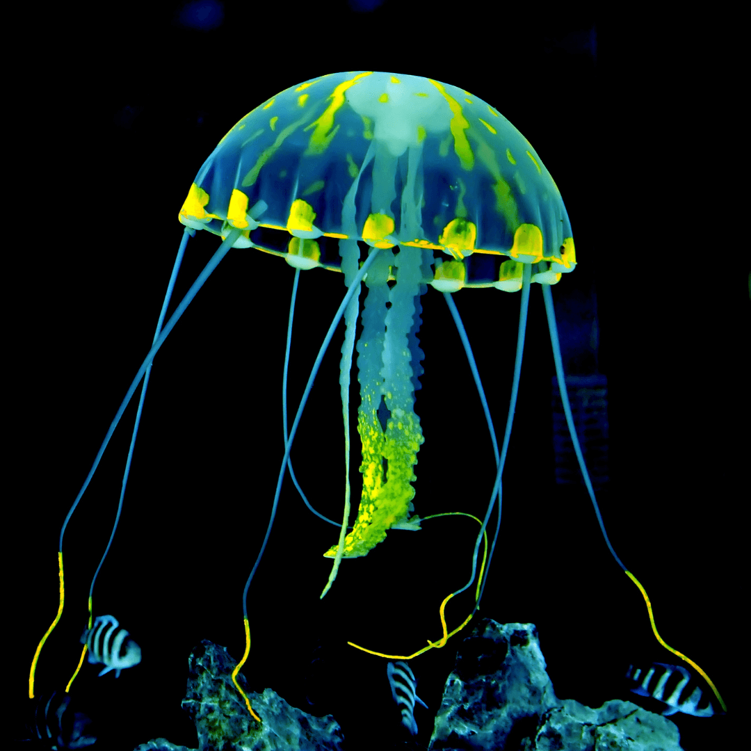 Jellyfish totem: What does it mean? Explore the meaning and get inspired by this spiritual guide!