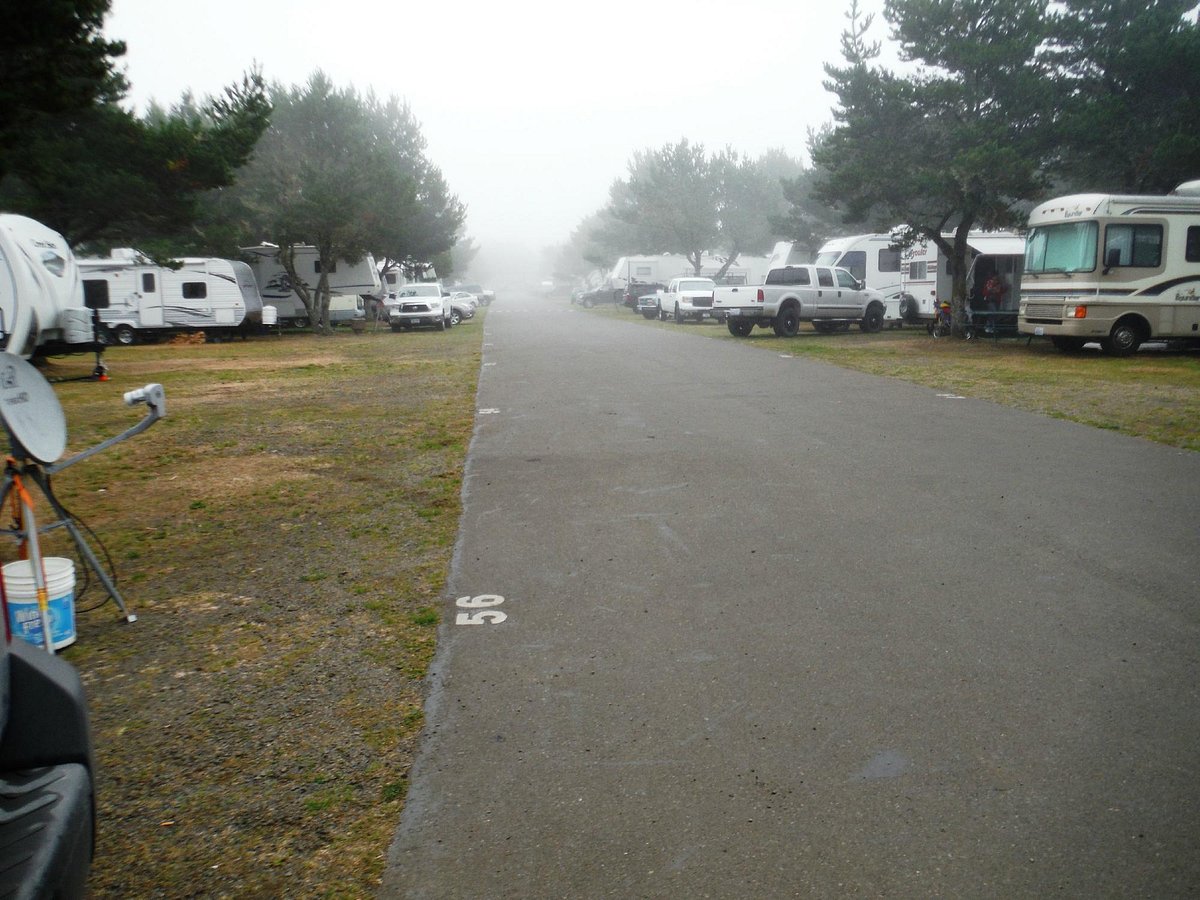 Totem RV Park Reviews: Is It Worth the Stay for You?