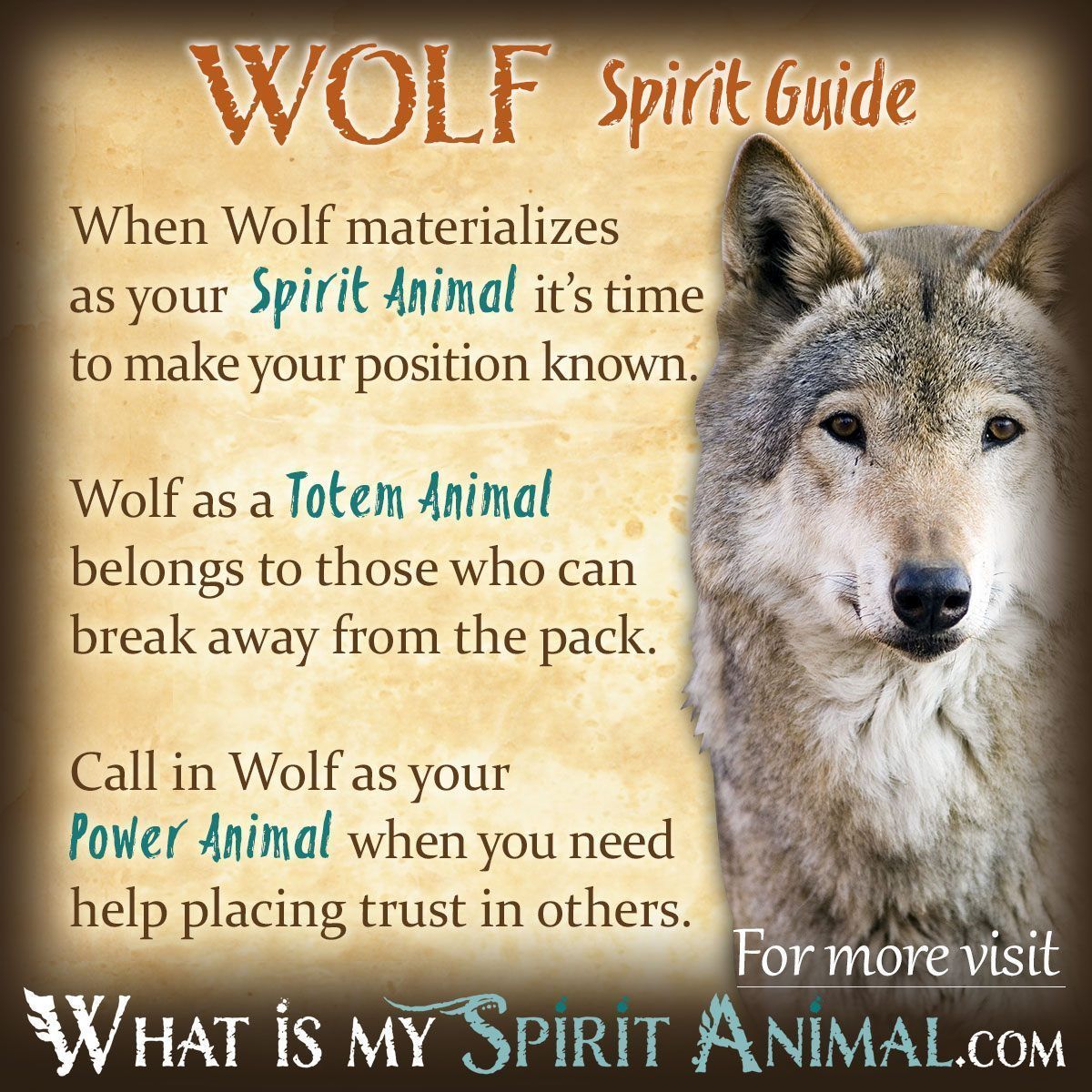 Totem pole wolf facts: All the things you should know about this symbol