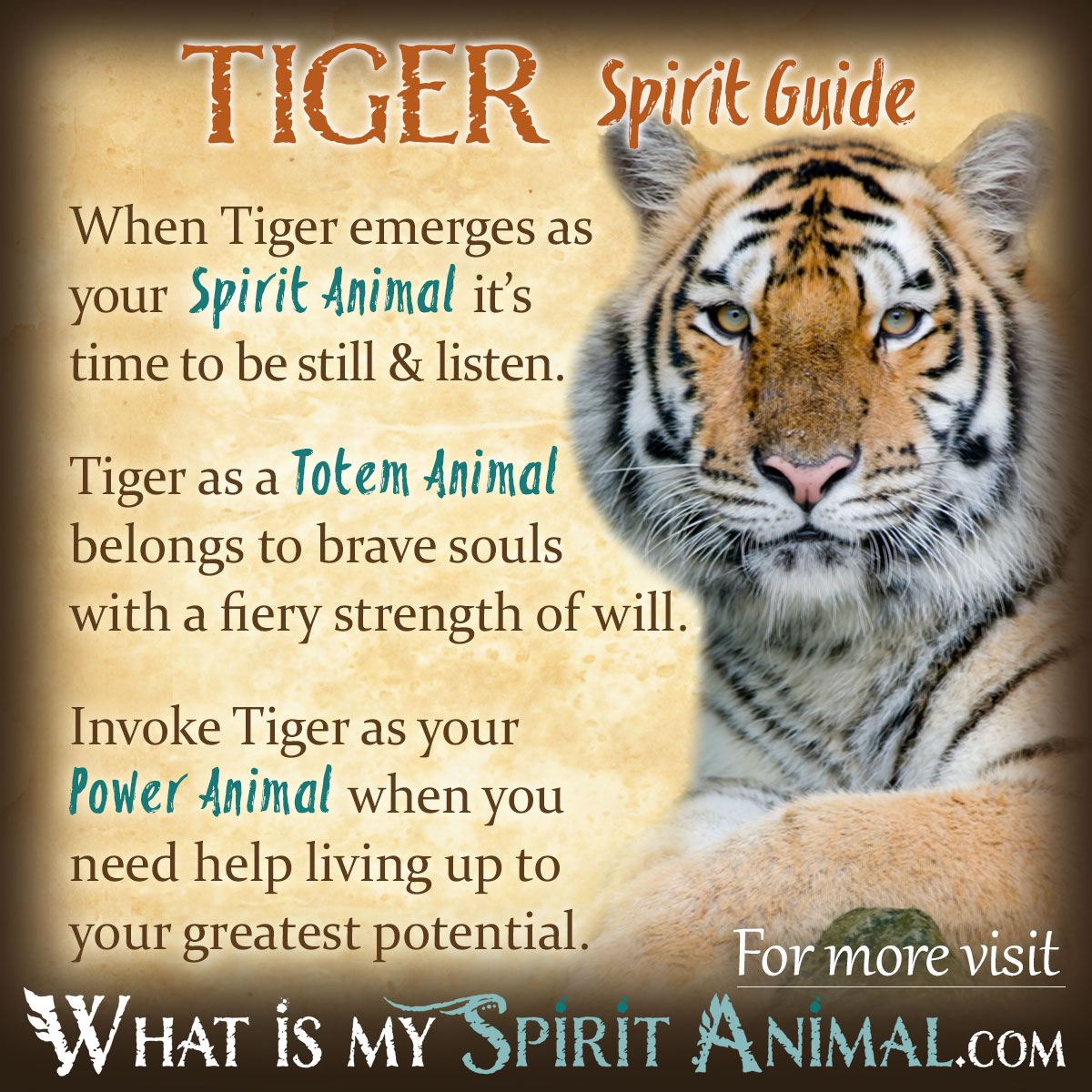 Whats a tiger totem animal mean? Get the full guide for the tiger totem animal now.