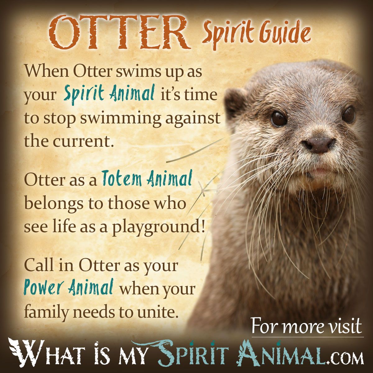 Otter Totem Meaning: Unpacking the Spiritual Significance for Your Life