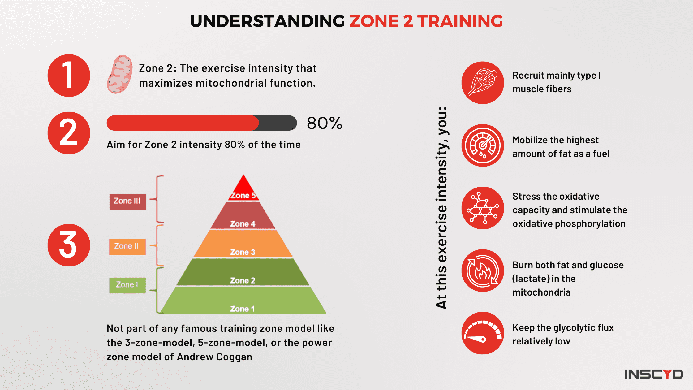 Zone 2 Cardio Running Pace for 6 Miles: What It Is and Why It Matters for Long Runs