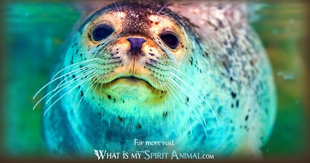 What is a Seal Animal Totem? Discover its hidden power and meaning!