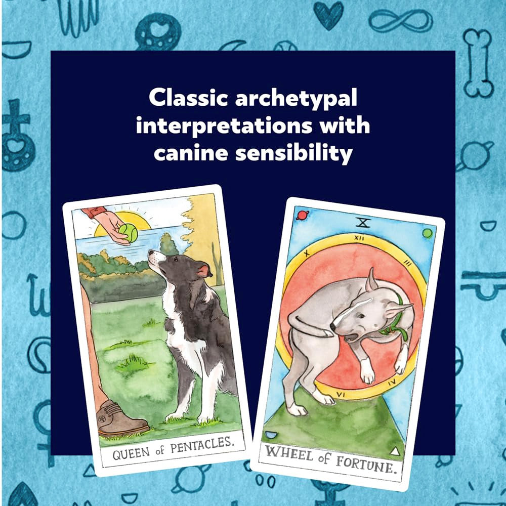 Dog tarot cards: What are they and how do they work?