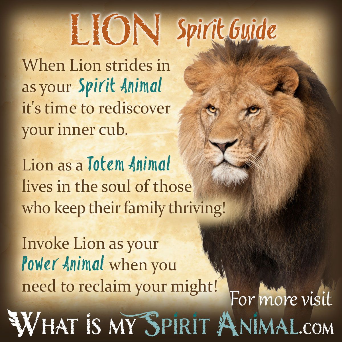 Lioness Totem Symbolism Learn the Secrets Today