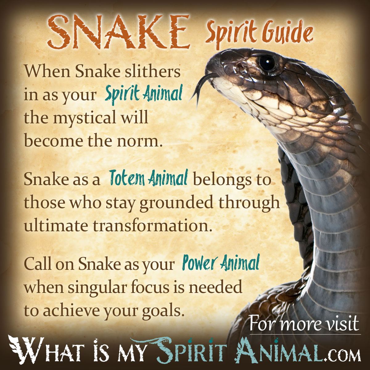 Serpent Animal Totem Guide: Unlocking its Wisdom and Power.