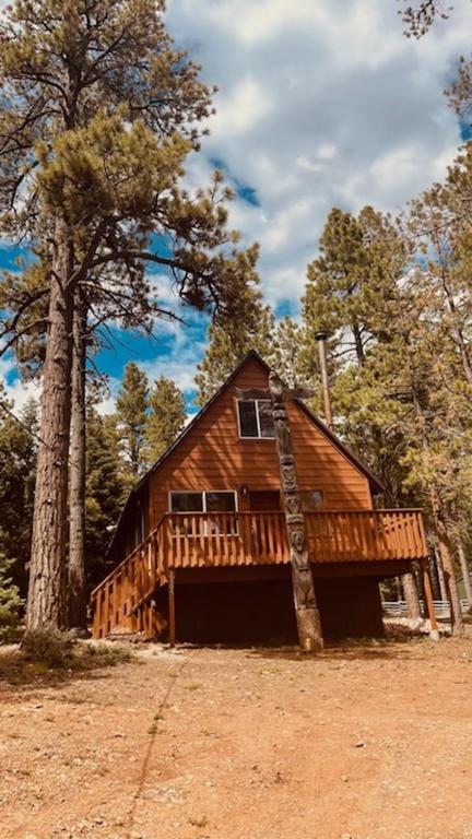 Explore Totem Pole Lodge: Discover What Makes It Special!