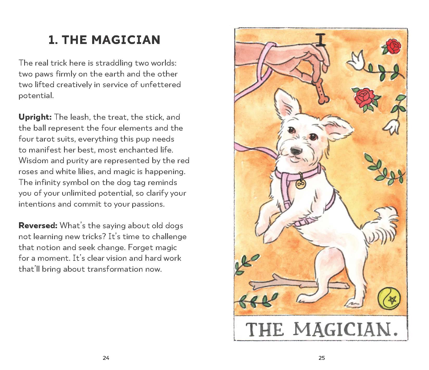 Dog tarot cards: What are they and how do they work?