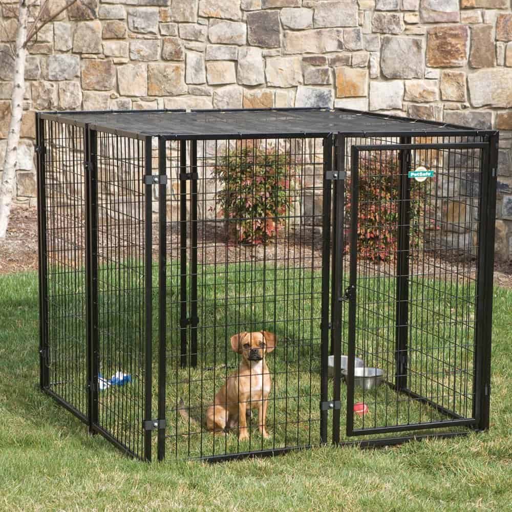 Top Dog Kennel With a Run: Simple Guide for Happy Dogs