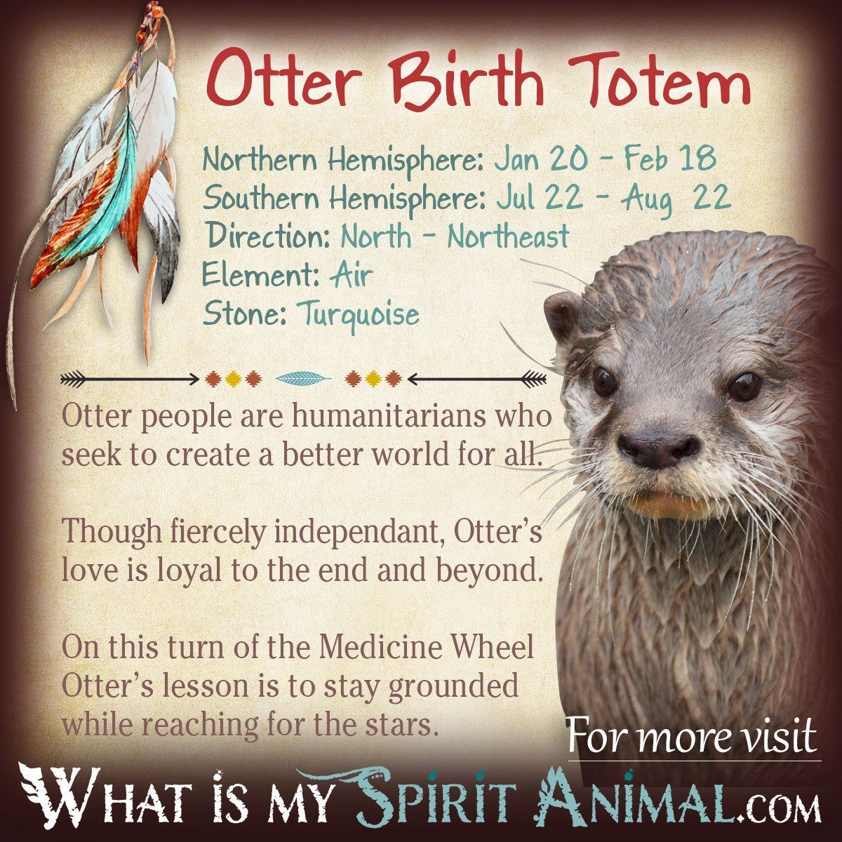 Otter Totem Meaning: Unpacking the Spiritual Significance for Your Life