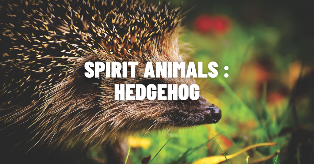 Hedgehog Animal Totem Guide: Are You Connected? (Unlock the Secrets of This Spirit)